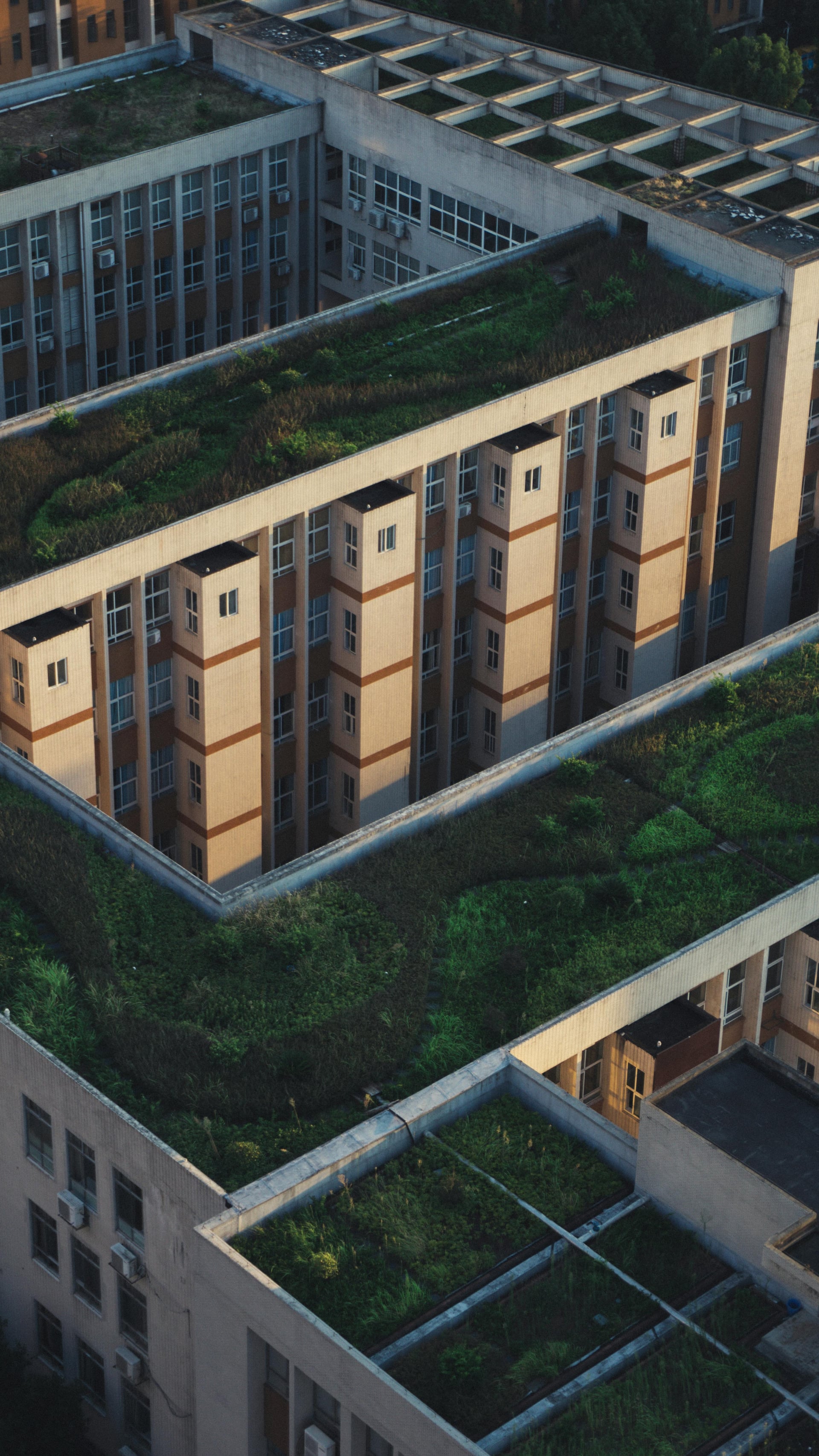 Flooring Repair & Finishes